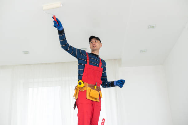 Best Post-Construction Mold Inspection  in Lisbon, ME