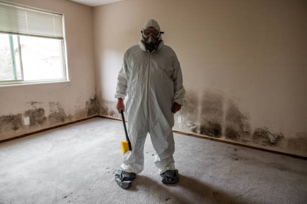 Best Mold Remediation for Healthcare Facilities  in Lisbon, ME